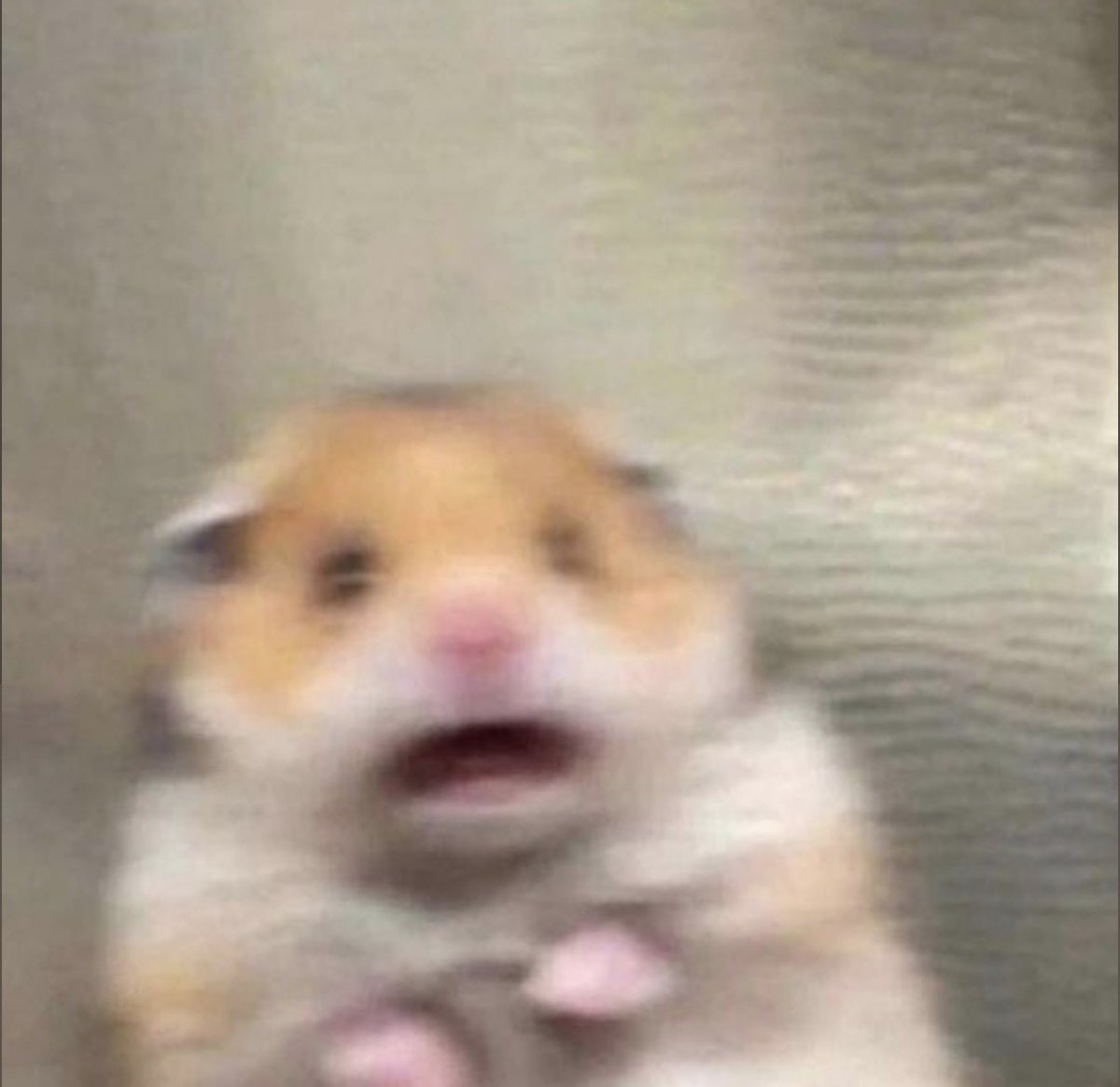 متصدره دوري روشن tweet media