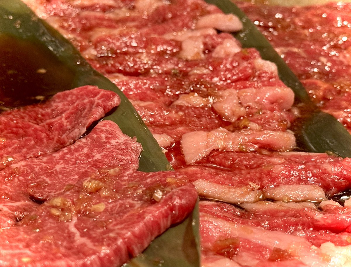 4260H＠カミカミキャンプ tweet media