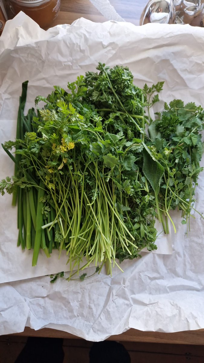 Meister Becker 🇮🇱🇺🇲🥝 tweet media