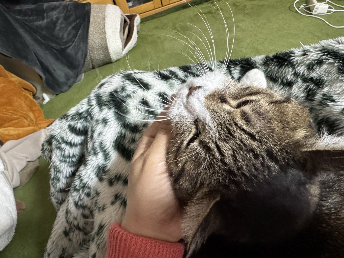 FUKU  SAY tweet media