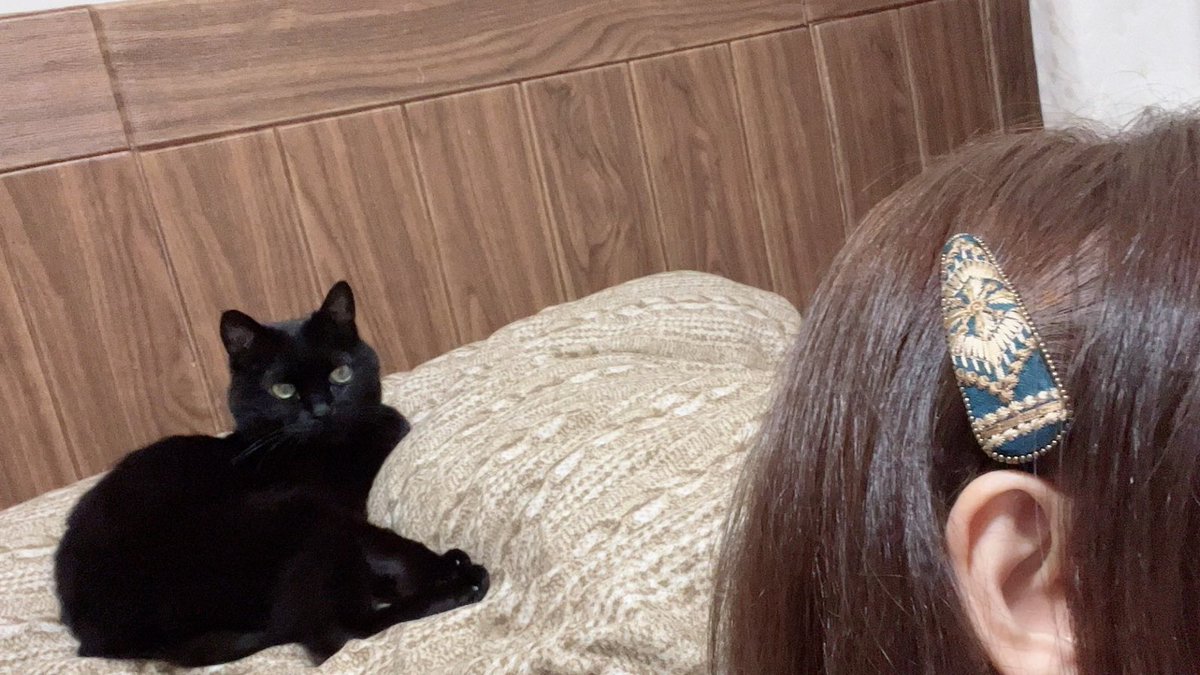 ちゃらりんぽん tweet media