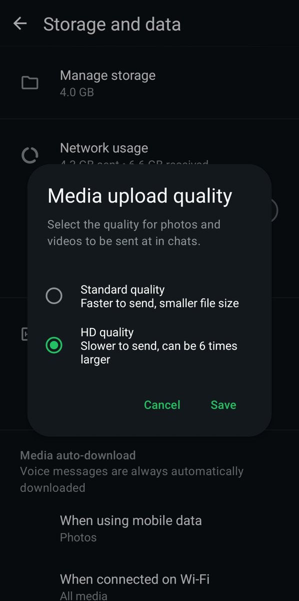 Daniel Regha tweet media
