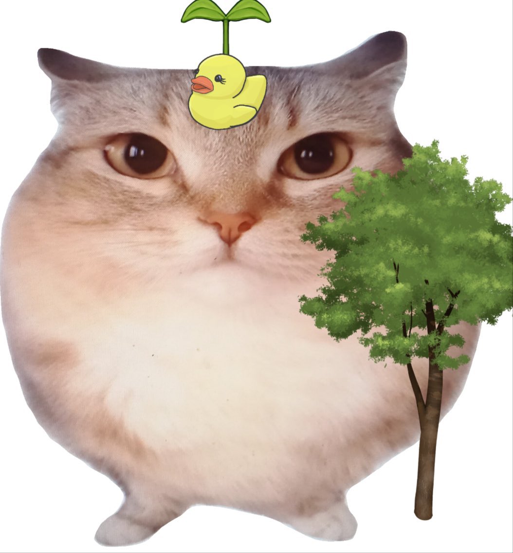 ABJ .𖥔 ݁ ˖ tweet media