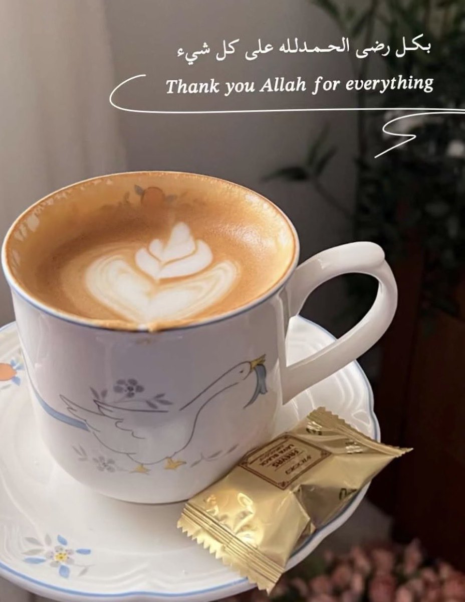 H🕊️❤️ tweet media