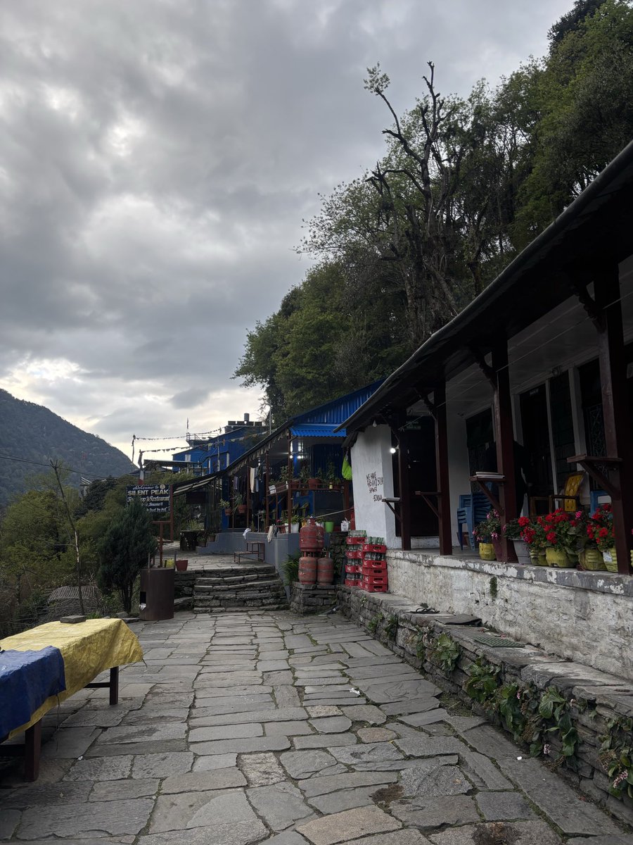 Heenu🌻 tweet media