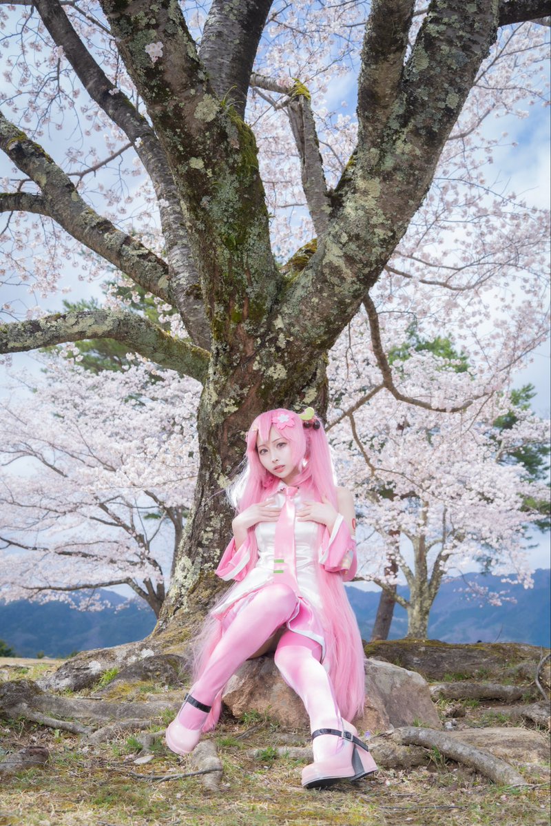 累-かさね- tweet media