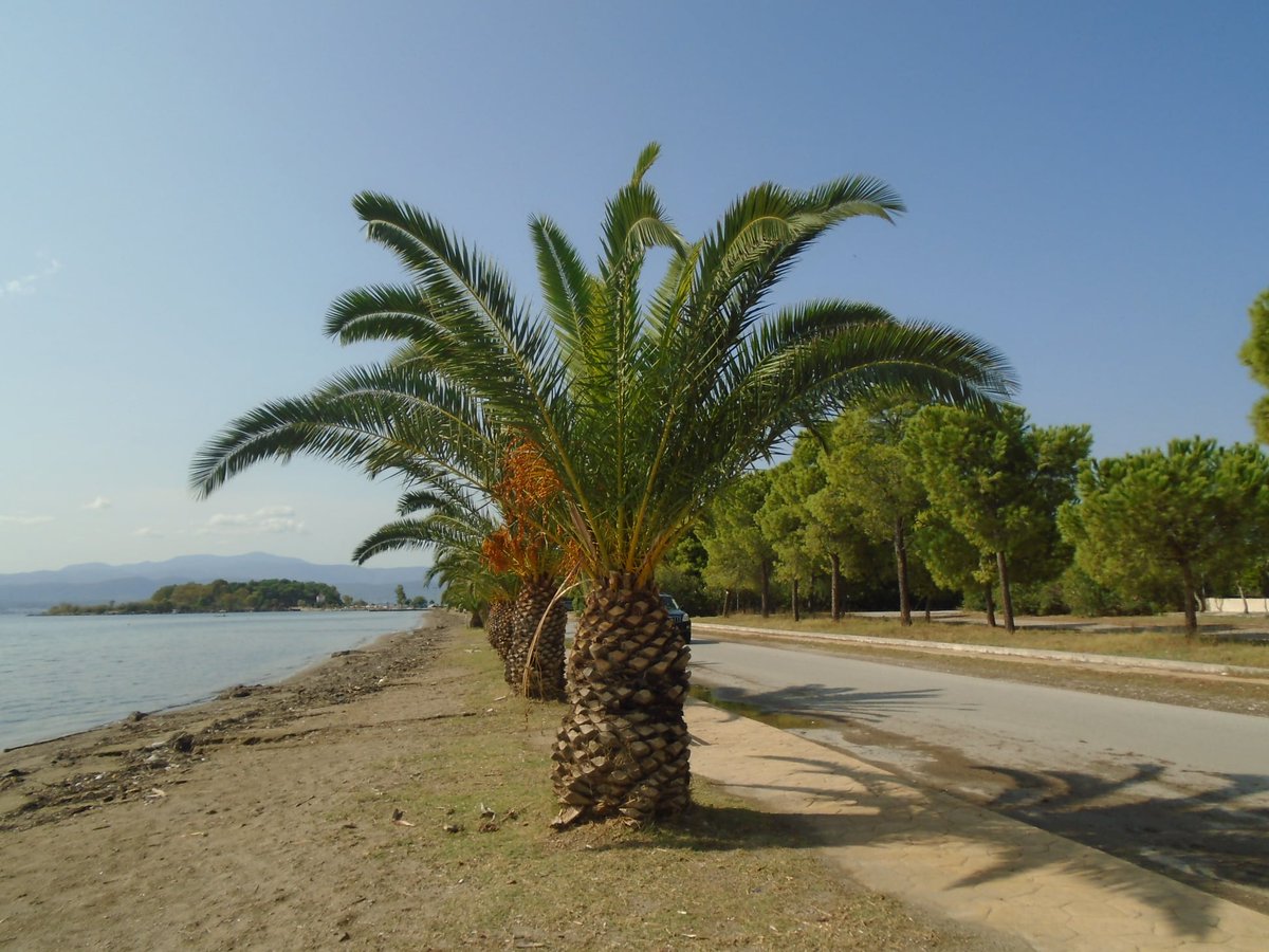 Η Μεγάλη Τρίτη, με το τροπάριο της Κασσιανής, μας καλεί να σταθούμε ανάμεσα στη μετάνοια και την ελπίδα προετοιμάζοντας την καρδιά και το πνεύμα για τα Πάθη και την Ανάσταση.
Είναι μια από τις πιο ουσιαστικές ημέρες της Μεγάλης Εβδομάδας. Καλό μεσημέρι.