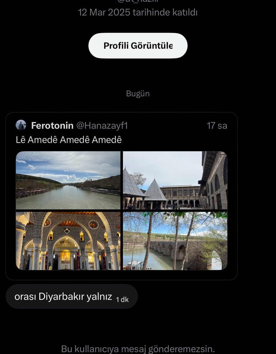 Ferotonin tweet media