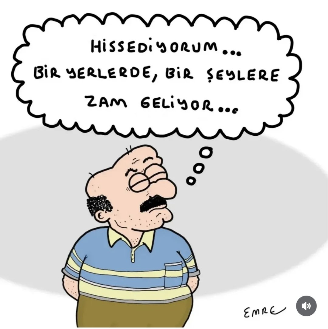 Nilgün GÜNEŞ tweet media