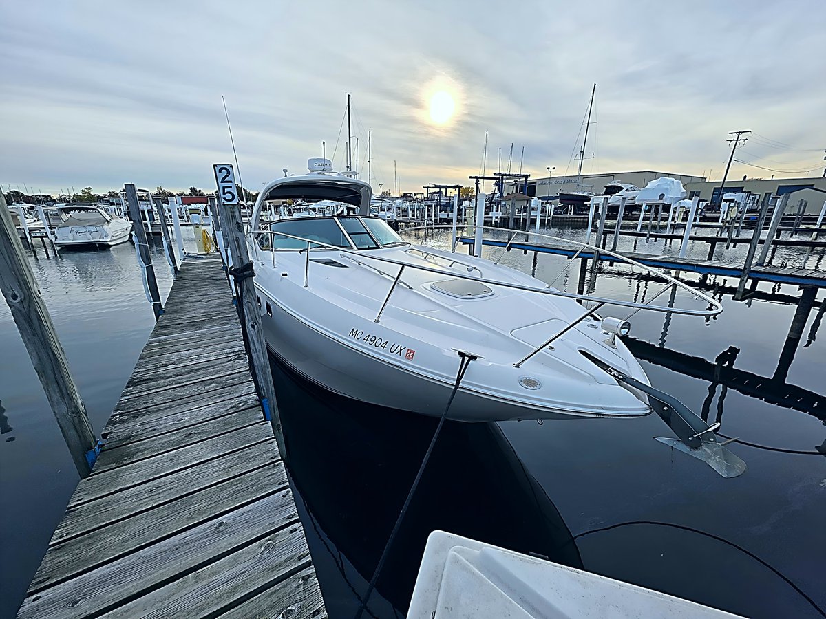 Maximus Impact tweet media