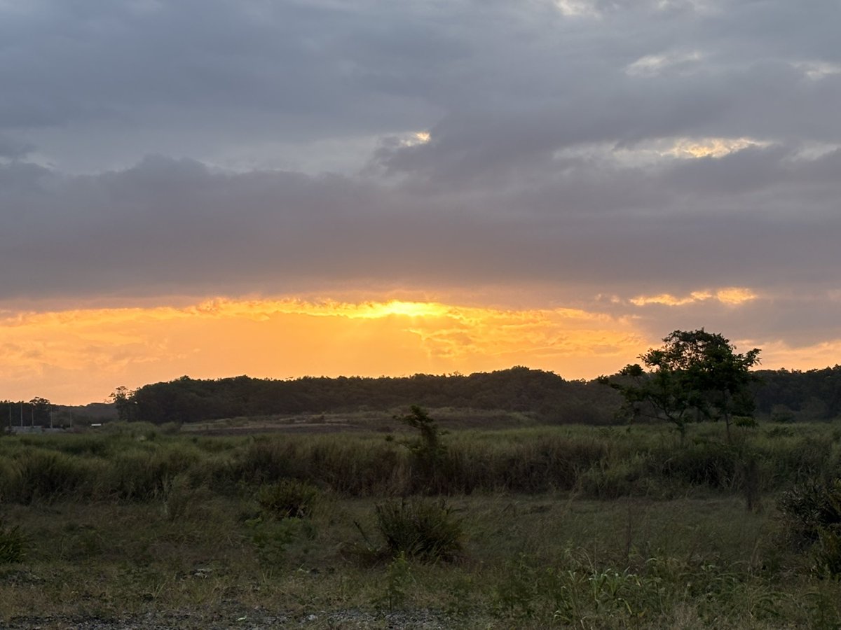 Roberto van Hoorde® tweet media