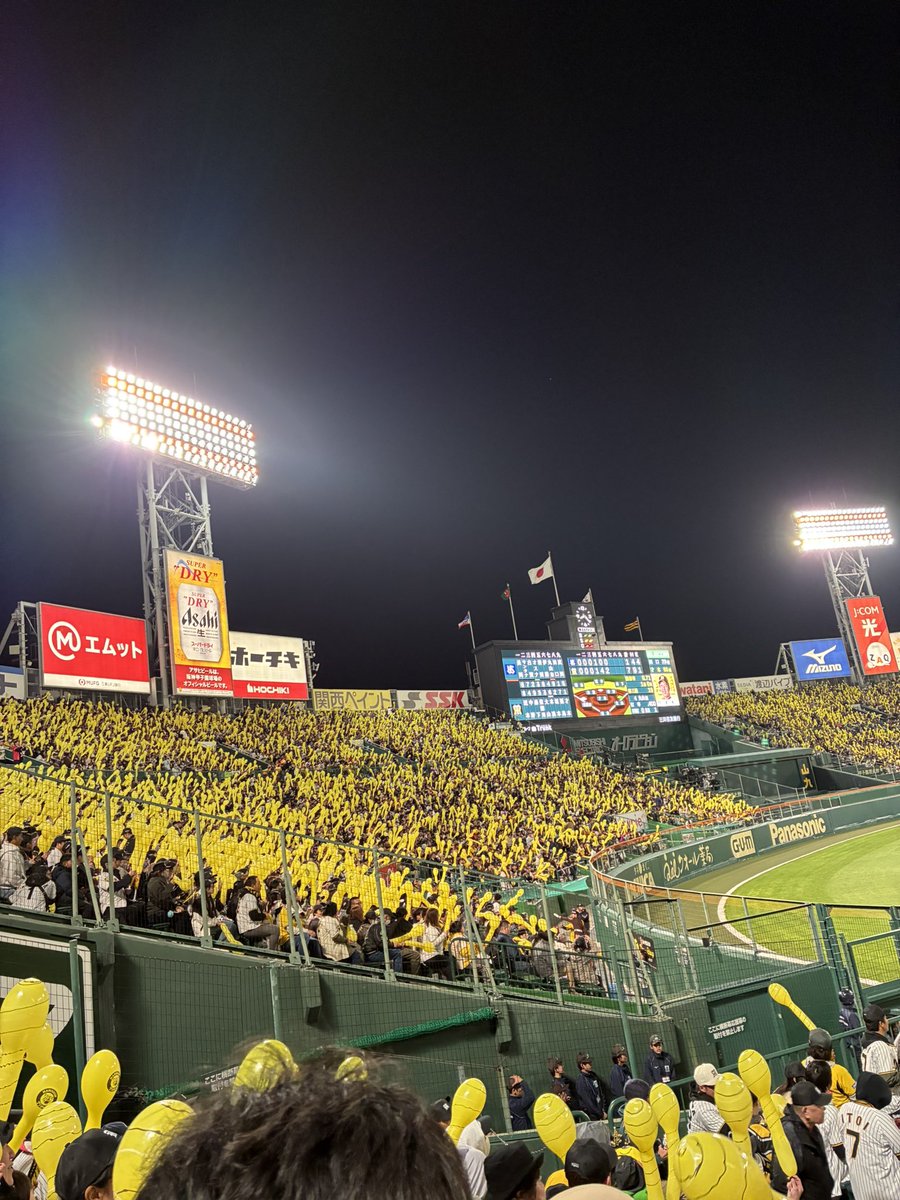 はる🐈🐈 tweet media