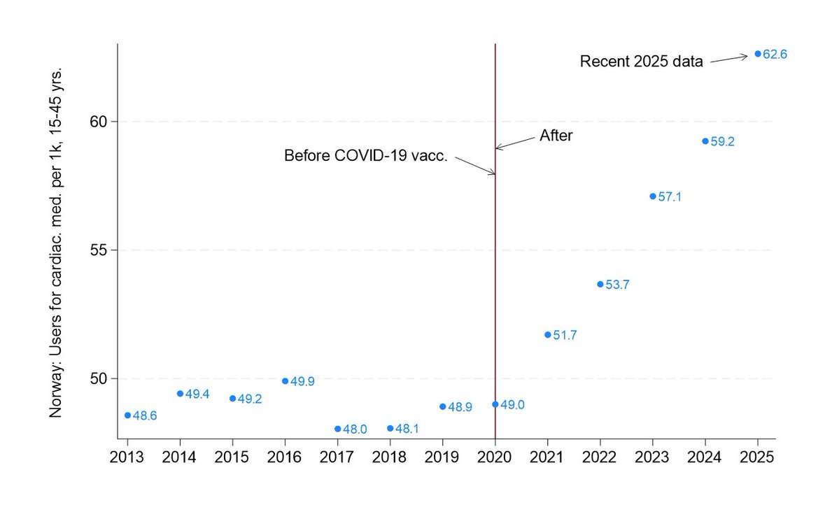 Sabine Stebel 🐝🐭 tweet media