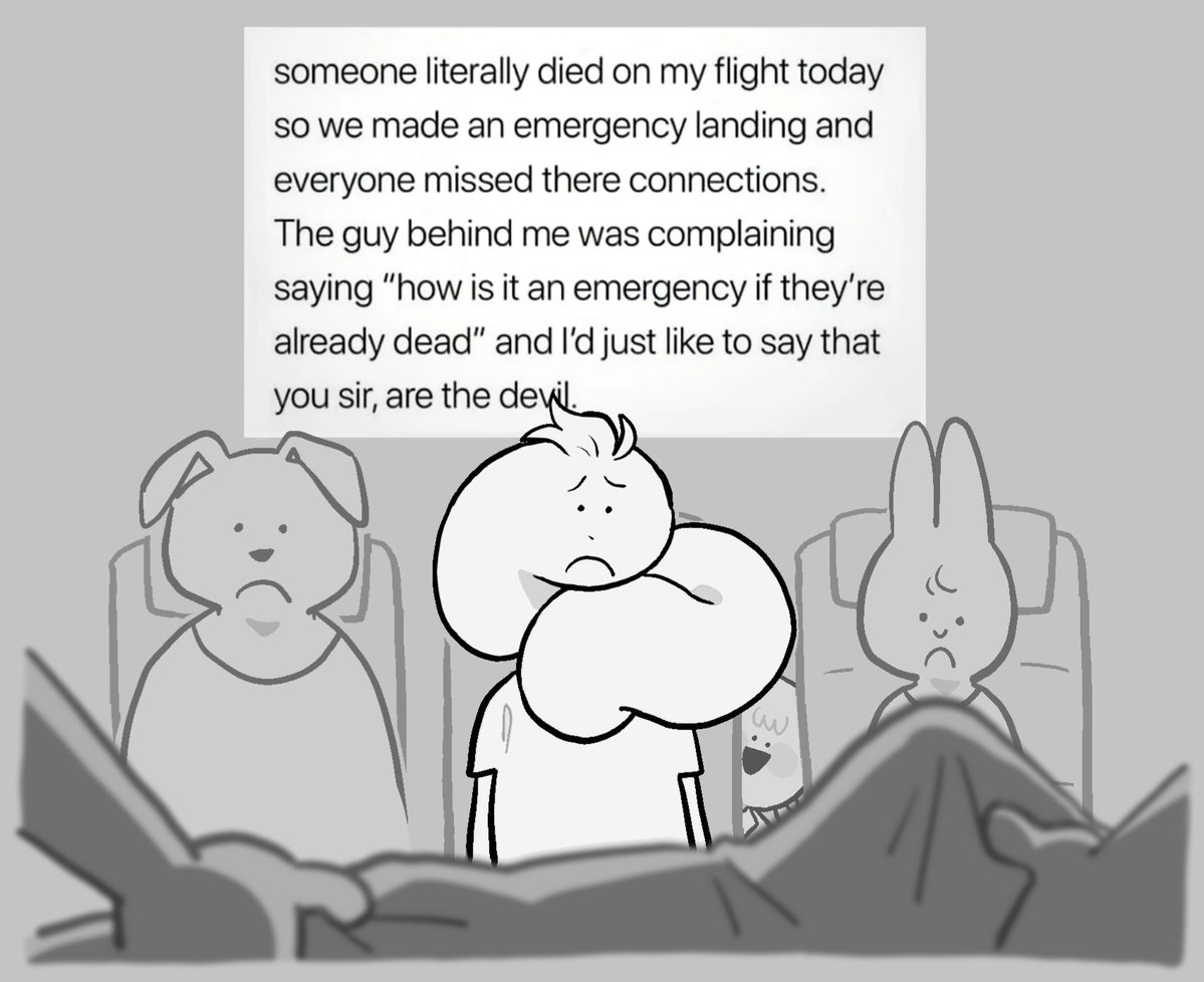 sir fluff tweet media