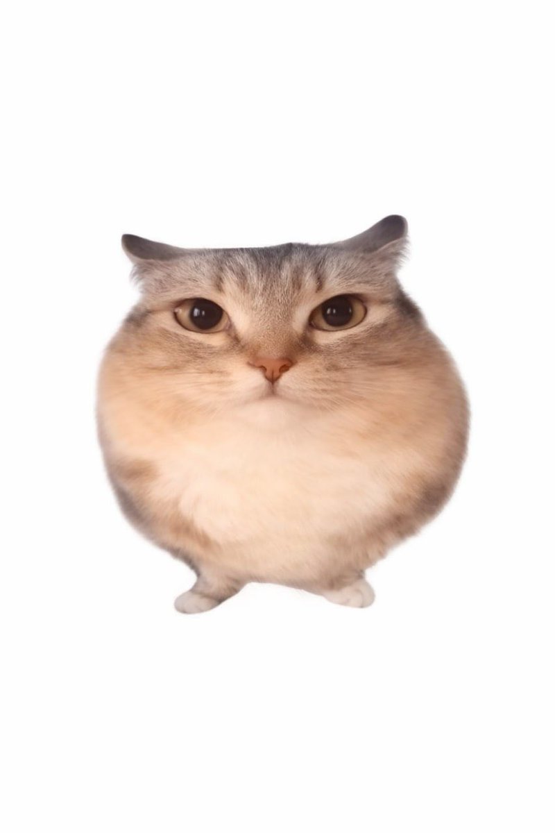 ABJ .𖥔 ݁ ˖ tweet media