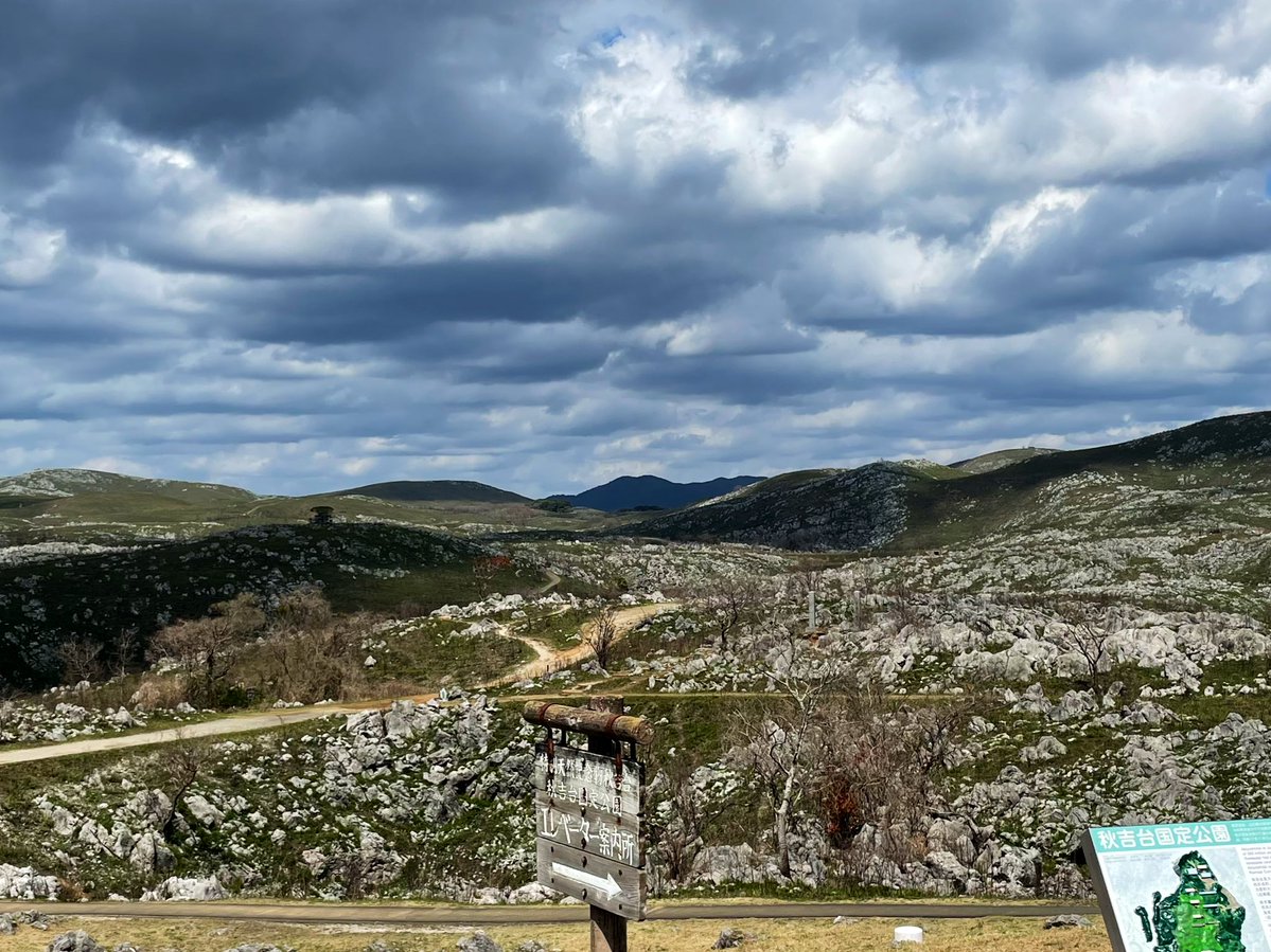 馬関のとら。 tweet media