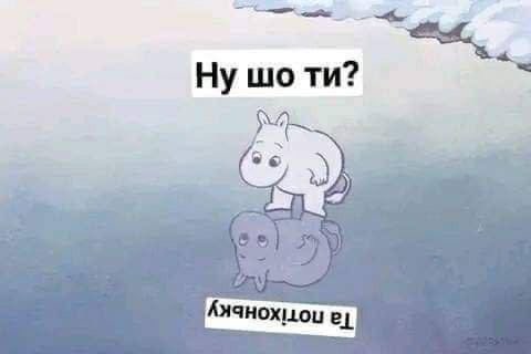 ніка кім ₊⊹ tweet media