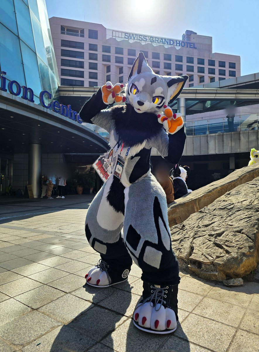Frotais's tweet photo. @run_charizard https://t.co/gZLbOR6e8Z