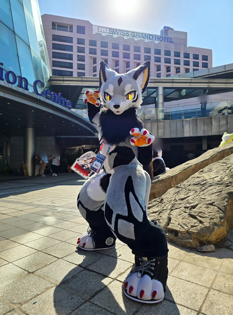 Frotais's tweet photo. @run_charizard https://t.co/gZLbOR6e8Z