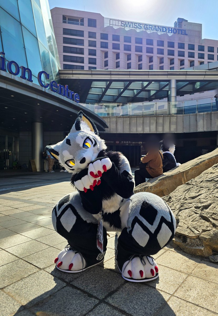 Frotais's tweet photo. @run_charizard https://t.co/gZLbOR6e8Z