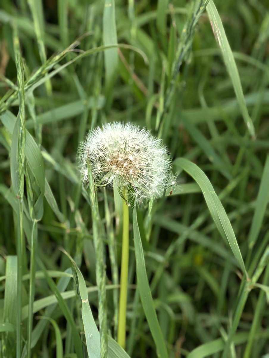 健人(けんてぃー👑) tweet media