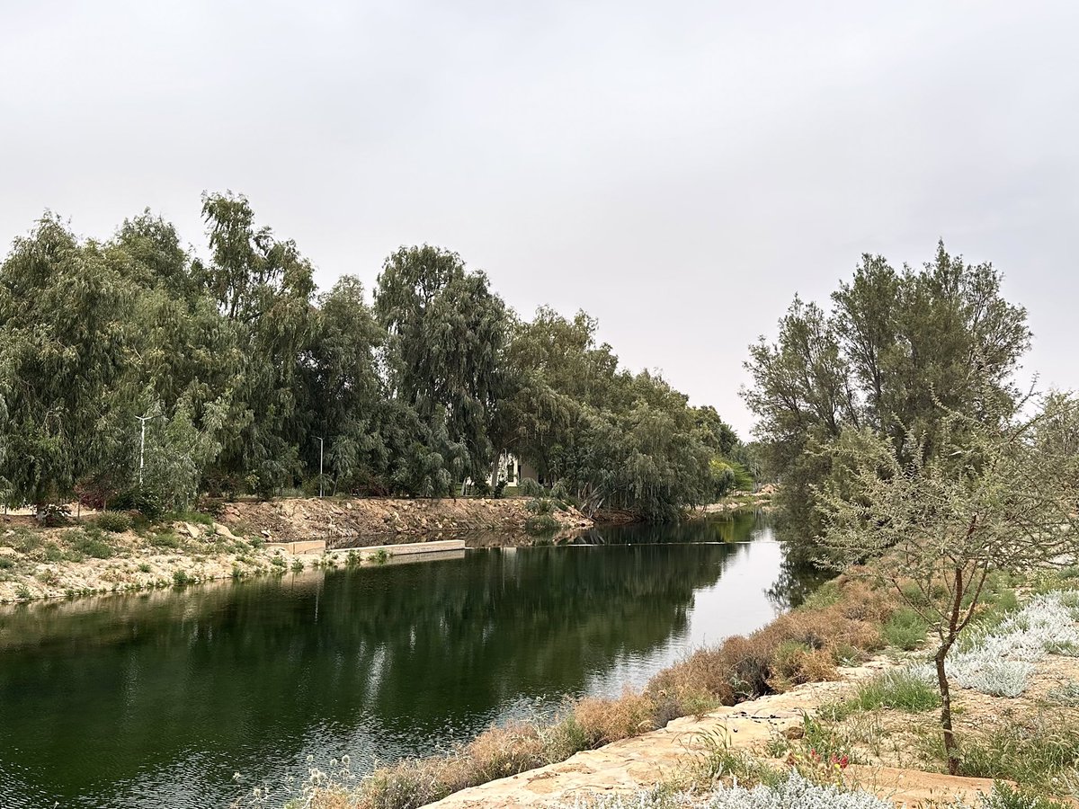 Muaiad ALsharari tweet media