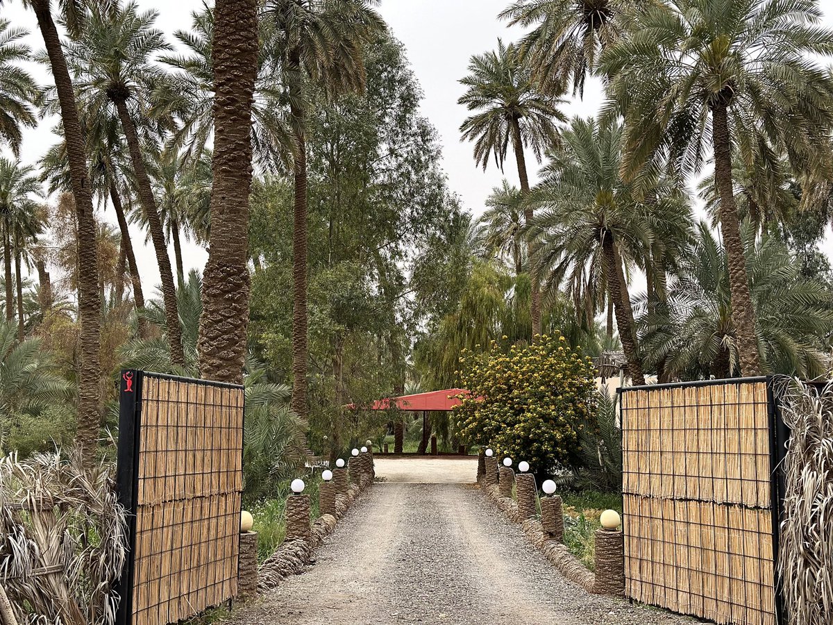 Muaiad ALsharari tweet media