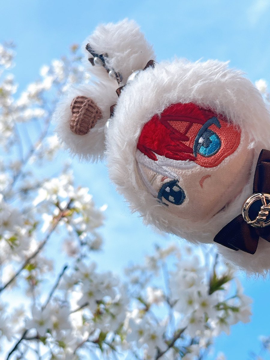 もち🐼 tweet media