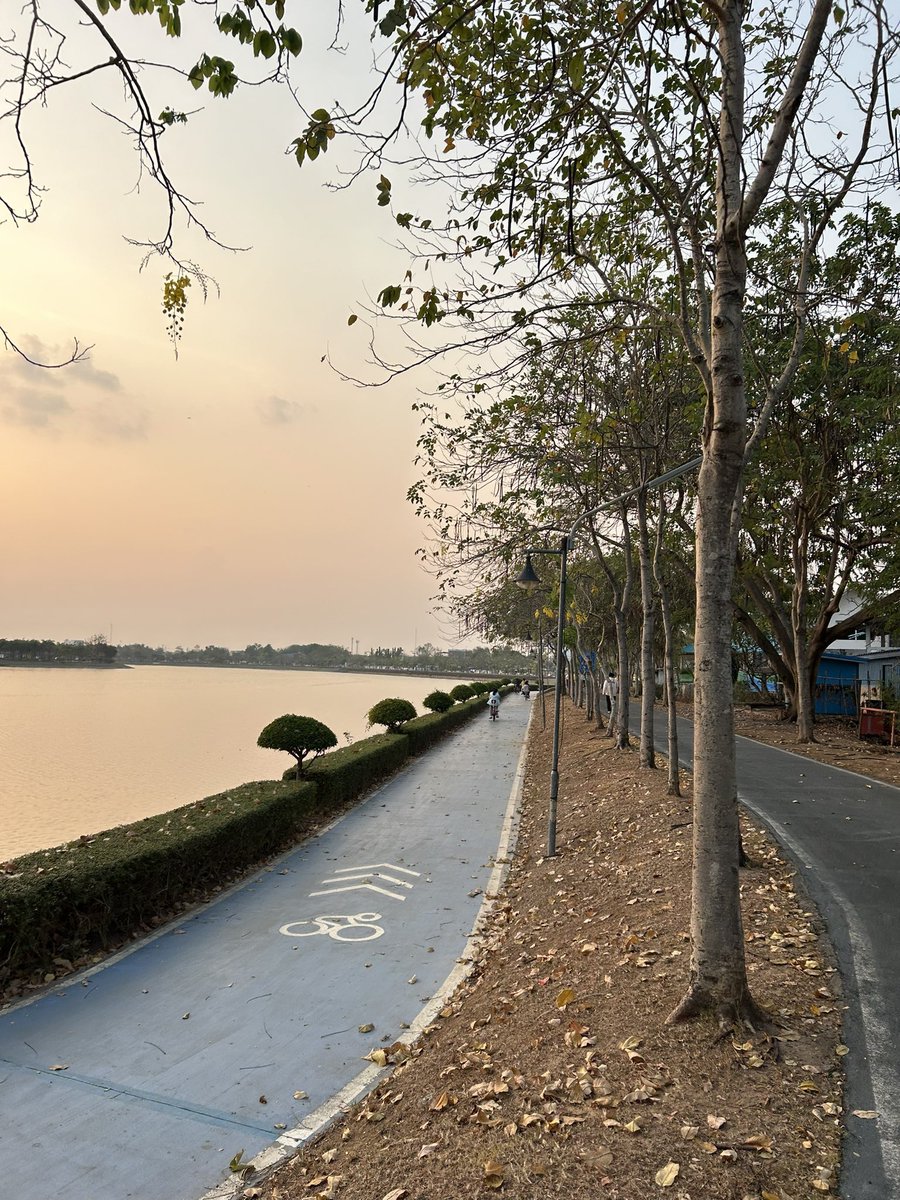 🌻candy🌻สาวสอง tweet media