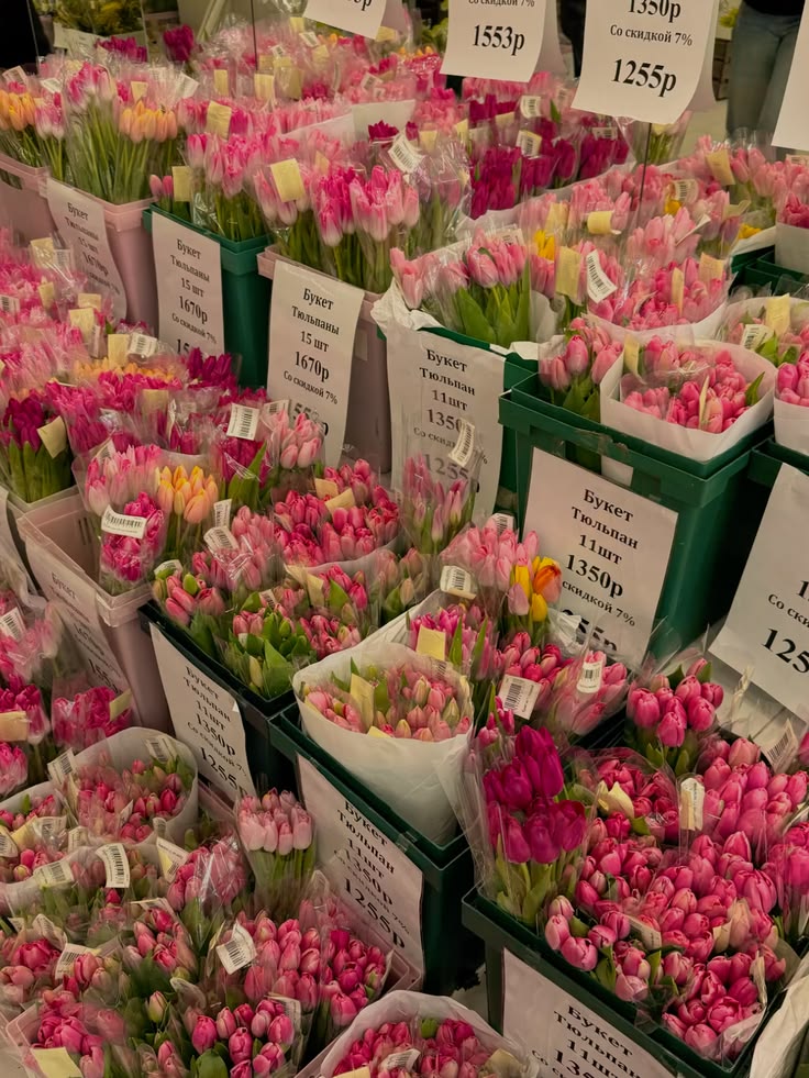 Soft Petals tweet media