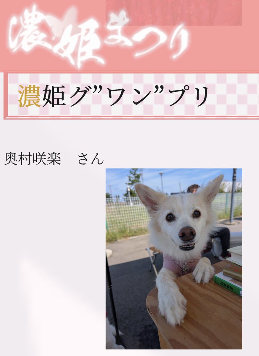 やながせ ゆっこ【公式】岐阜ご当地タレント tweet media