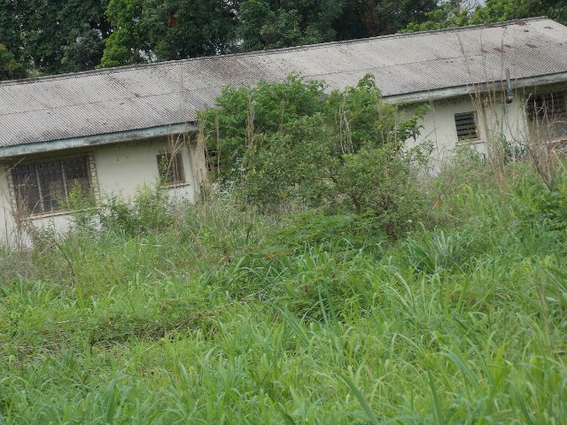 Nedu Ani tweet media