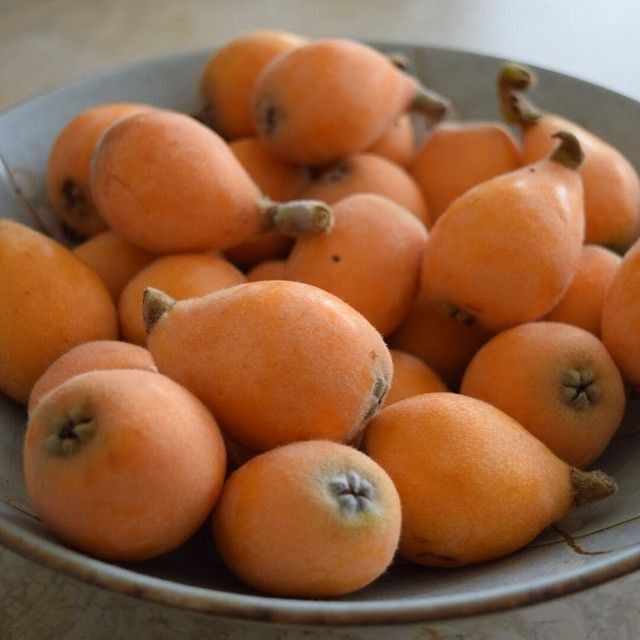 Sweet Nector tweet media