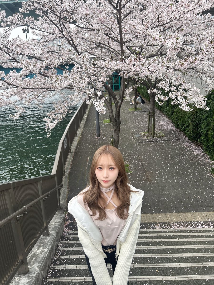 高橋あきほ〈Kolokol〉 tweet media