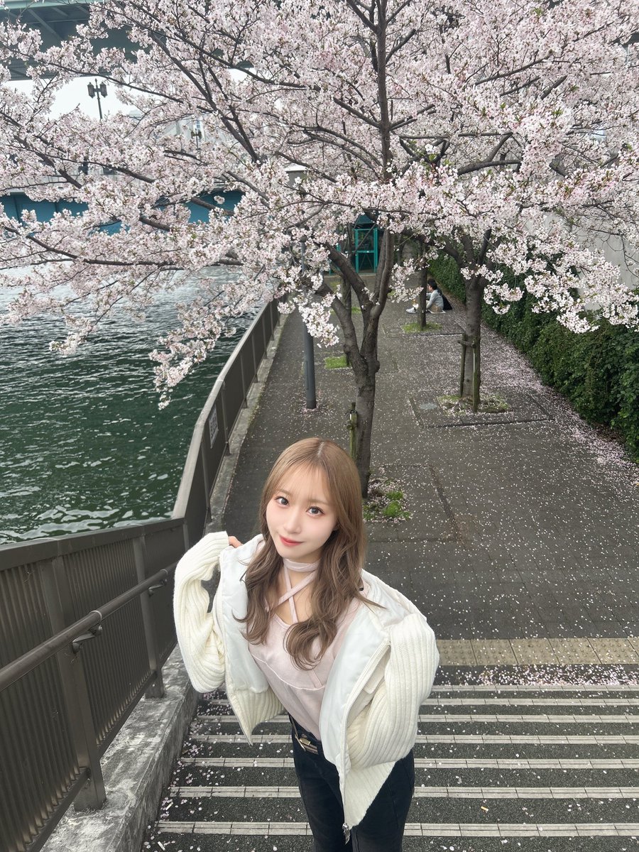 高橋あきほ〈Kolokol〉 tweet media