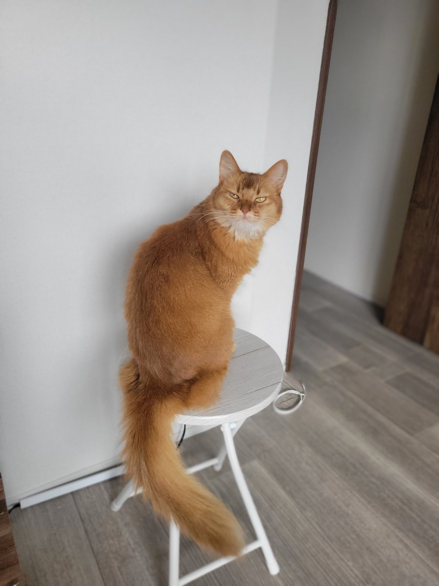 仕事行こうとするとこの顔