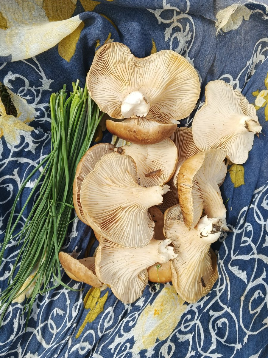 semra🎈 tweet media