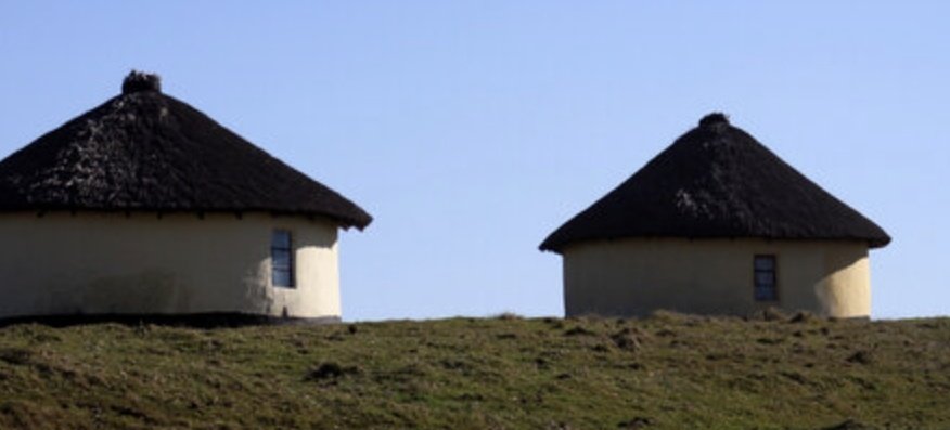 Mhlongo da Herbalist 🍃 tweet media