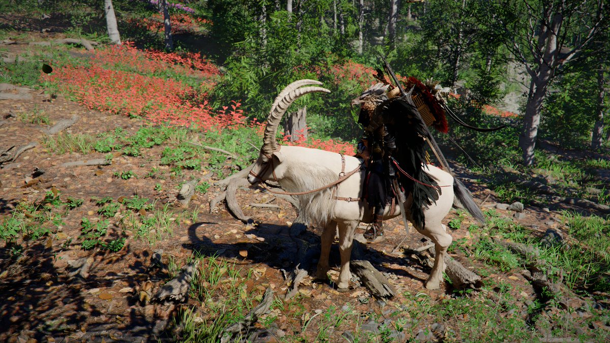 ⚡️Jason_2Mars🚀💫 tweet media