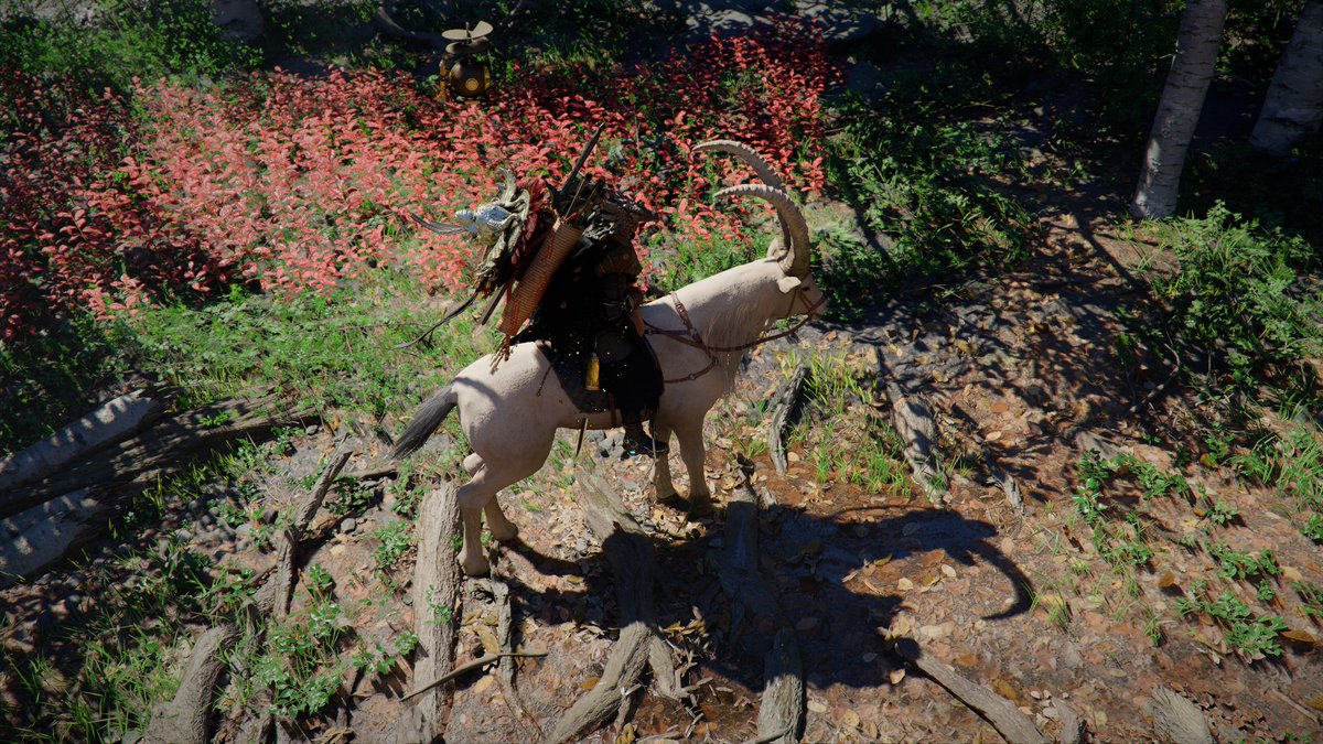 ⚡️Jason_2Mars🚀💫 tweet media