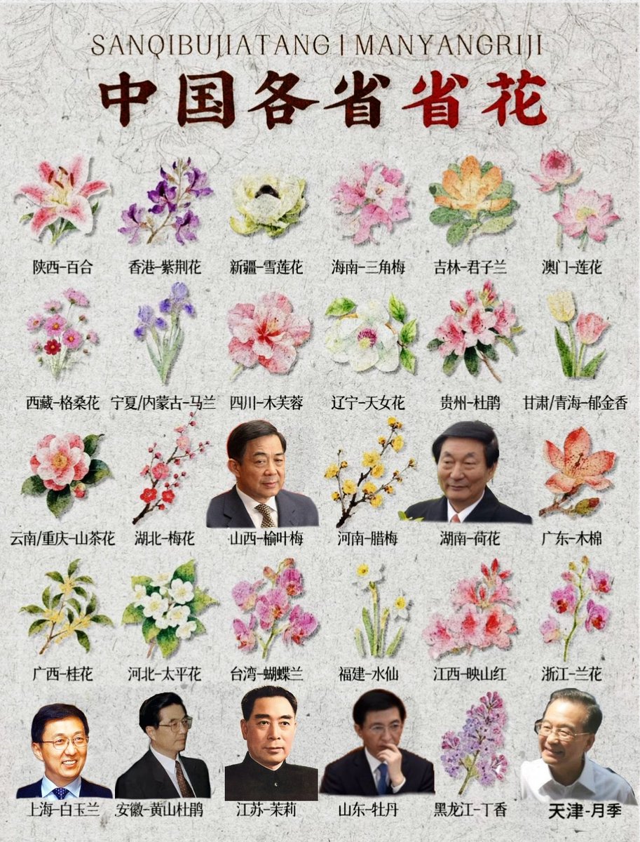 Mandy Mooniechann tweet media