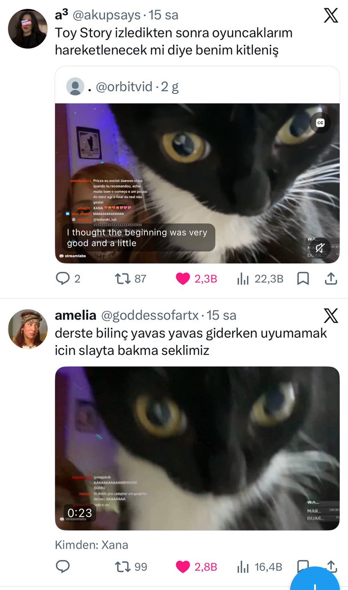 zeynep tweet media