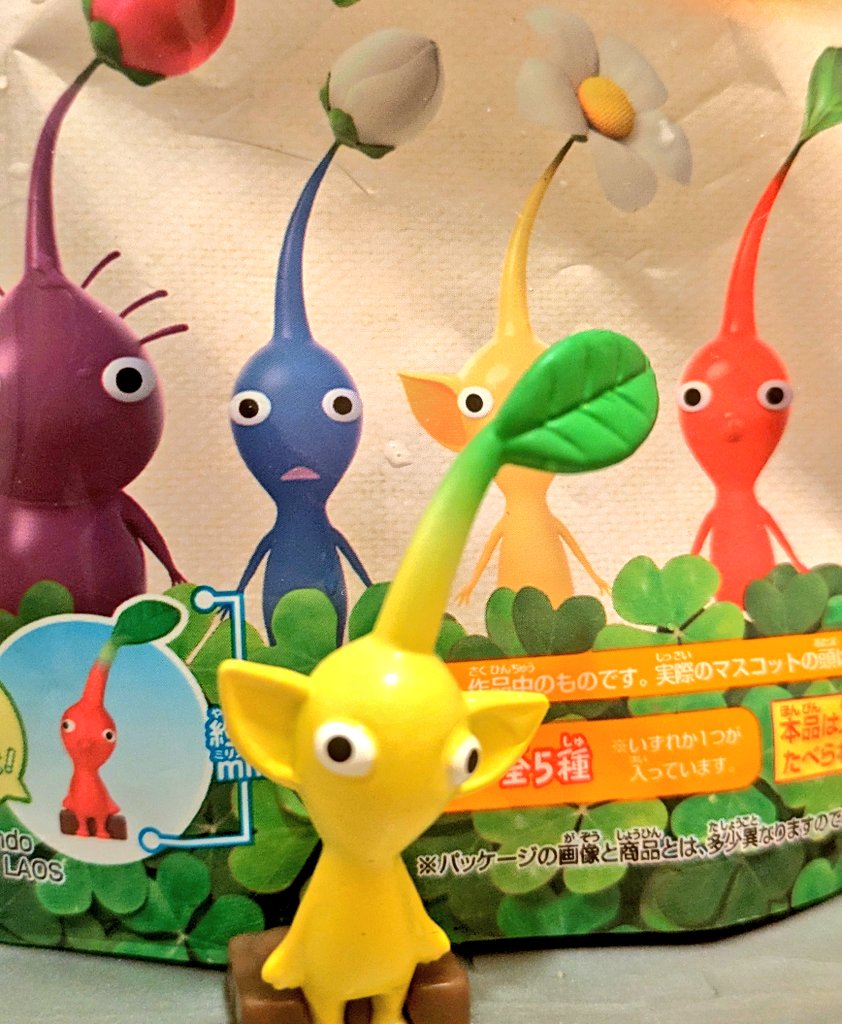 🌱えびぼん tweet media