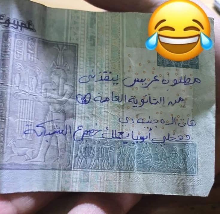 ManalEssawy tweet media