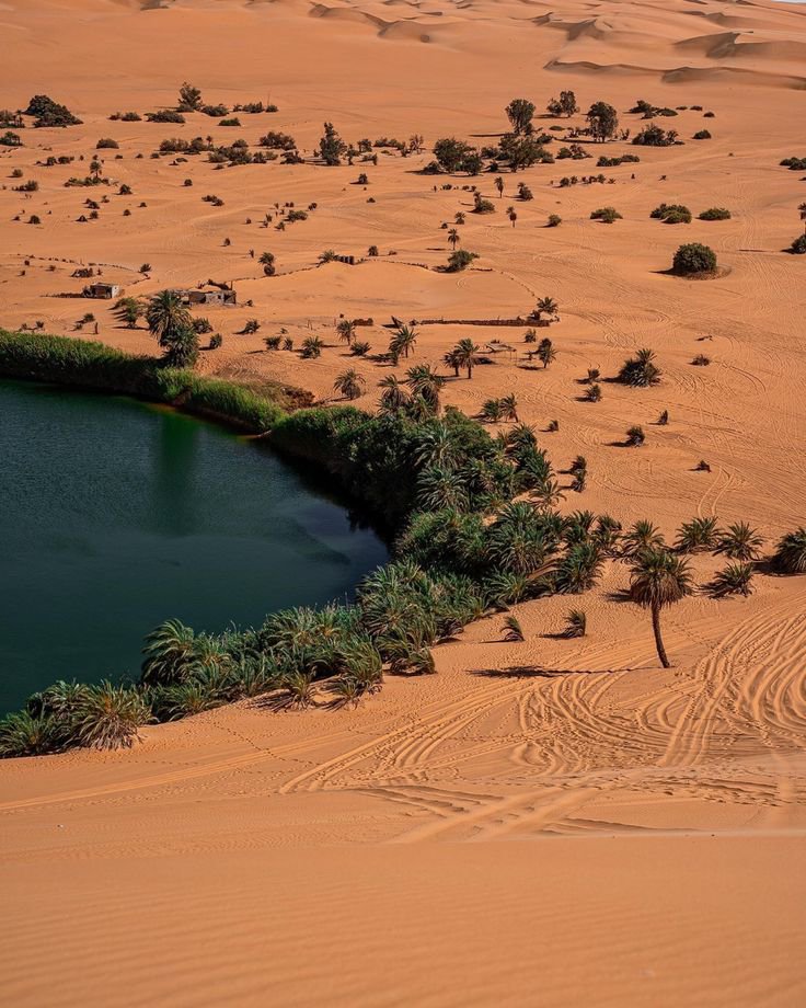 Beauty Explorer tweet media