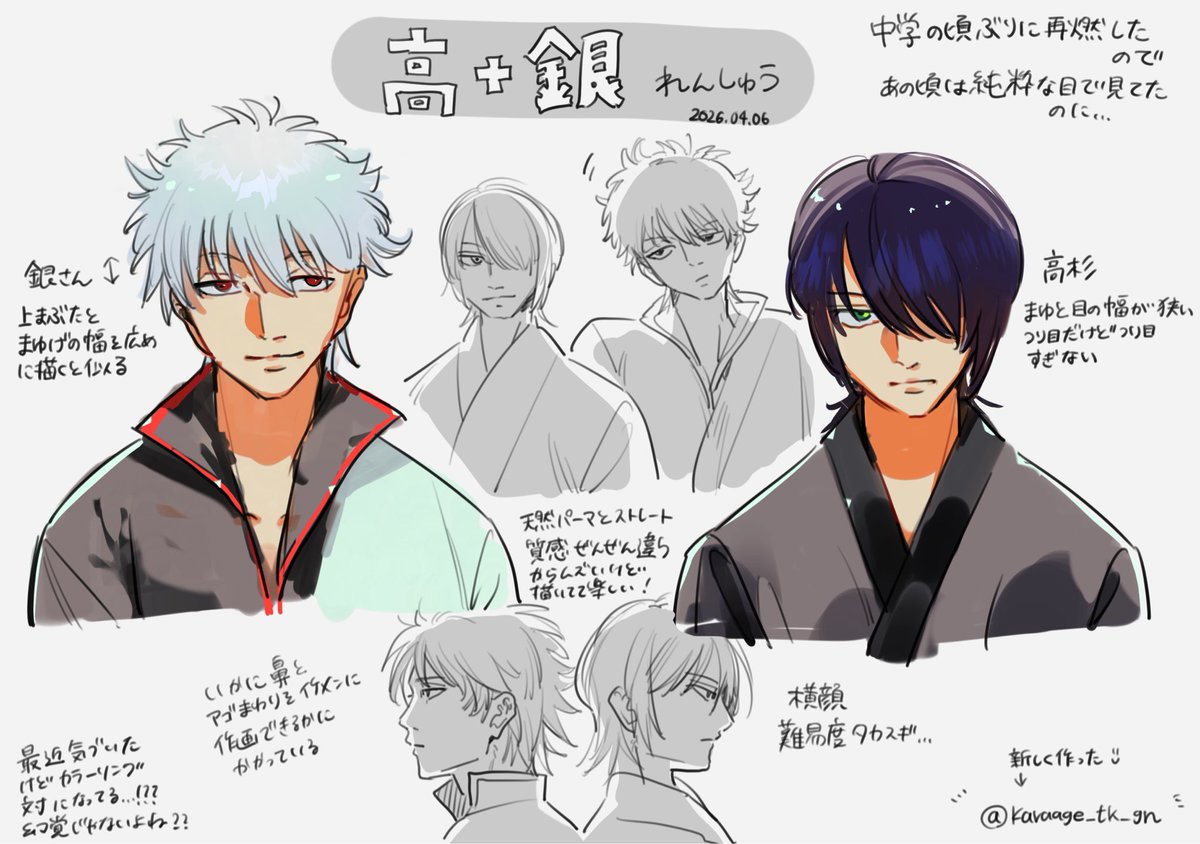 七面鳥🦃@高+銀 (@karaage_tk_gn) / Posts / X