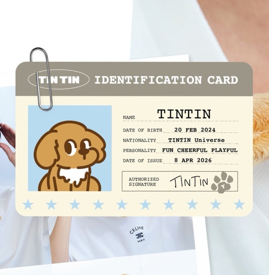 𝙲𝙷𝙰𝙴𝚆𝙾𝙾 tweet media