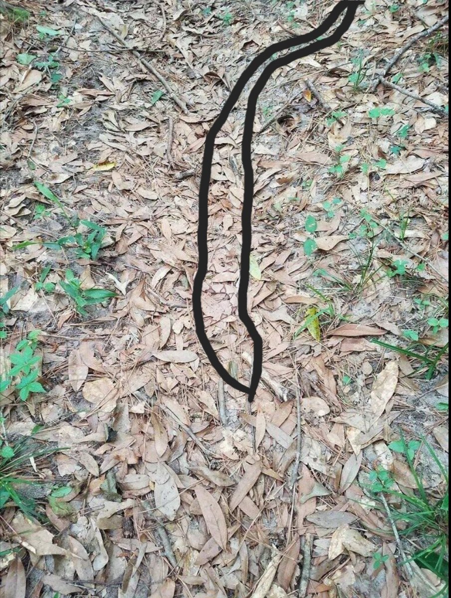 trexx_10 youtube accout “1” tweet media