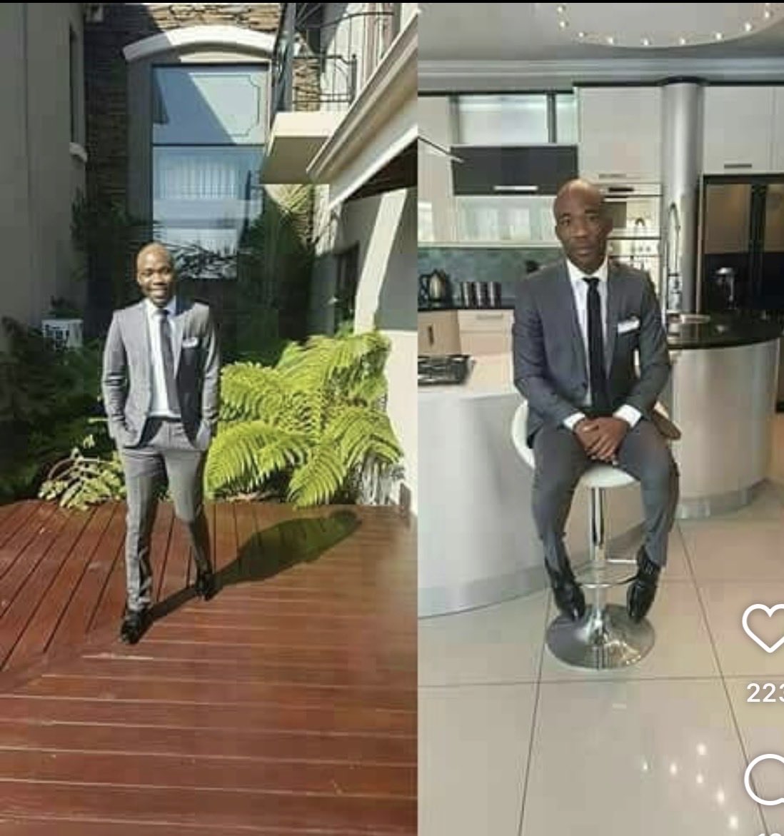 Sunflower tweet media