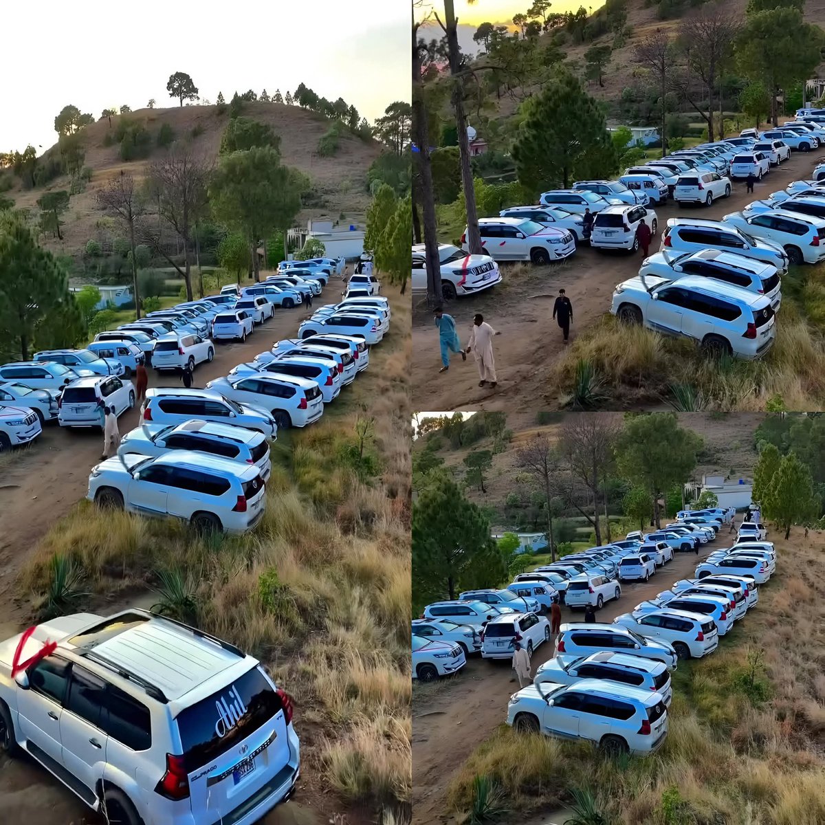 Seerat Fatima tweet media